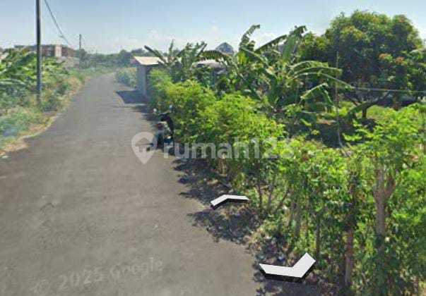 For Rent Beautiful Land in Sanur Beach Padang Galak Area For Rent Beautiful Land in Sanur Beach Padang Galak Area