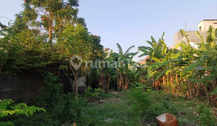 Dijual Tanah Murah Di Jalan Pura Demak. Lt 540m2. Harga 950 Juta Per Are Nego Dijual Tanah Murah Di Jalan Pura Demak. Lt 540m2. Harga 950 Juta Per Are Nego