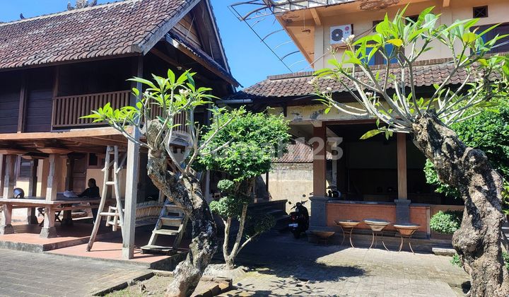 Di Jual Rumah Besar Bangunan Kokoh Style Bali Luas 8are Hrg 6,5m 1