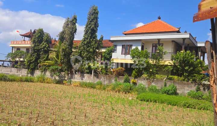 For Rent Cheap Land in Padang Galak Sanur. Plot 200M2. Price 15 Million Per Are Per Year For Rent Cheap Land in Padang Galak Sanur. Plot 200M2. Price 15 Million Per Are Per Year