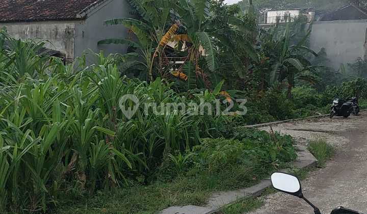 Land For Rent, Suitable For Housing, Area 4000m2