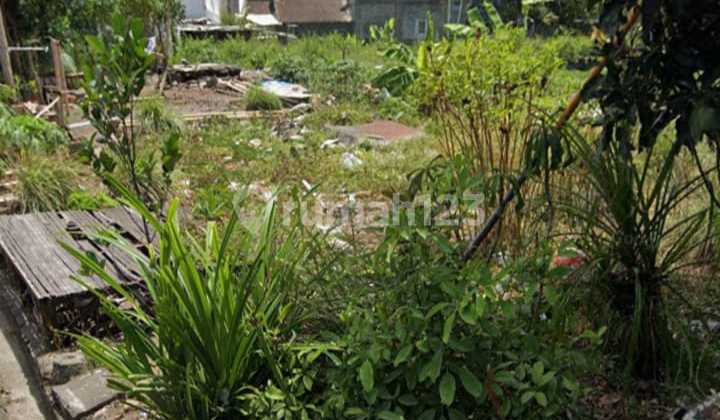Dijual Tanah Murah Di Canggu. Lt 304m2. Harga 1,1 Milyar Dijual Tanah Murah Di Canggu. Lt 304m2. Harga 1,1 Milyar