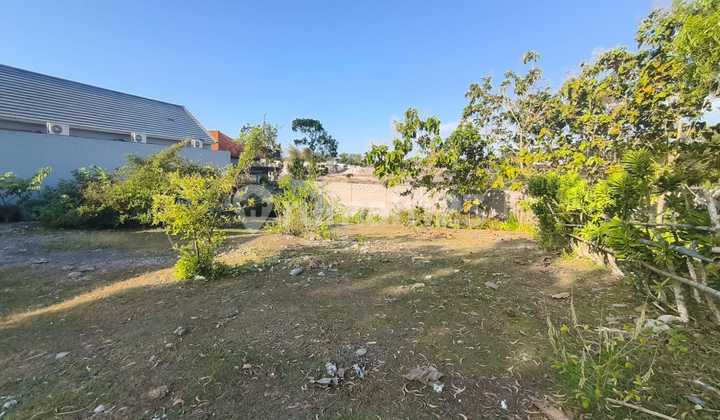 For Sale Cheap Land in Bingin. Plot 545m2. Price 1.4 Billion Per Are Negotiable. For Sale Cheap Land in Bingin. Plot 545m2. Price 1.4 Billion Per Are Negotiable.