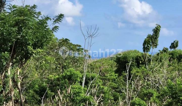 Dijual Tanah Murah Di Bvlgari Pecatu. Lt 8.452m2. Harga 375 Juta Per Are Dijual Tanah Murah Di Bvlgari Pecatu. Lt 8.452m2. Harga 375 Juta Per Are