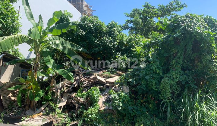 Land for Rent in Kuta. Land Area 3,225M2. Price 28 Million Per Are Per Year Land for Rent in Kuta. Land Area 3,225M2. Price 28 Million Per Are Per Year