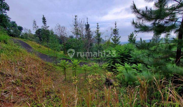 Tanah Luas Strategis di Mekar Wangi, Lembang 2