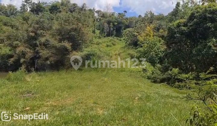 Strategic Large Land in Panjalu - Ciamis, Ideal for Investment and Business Development