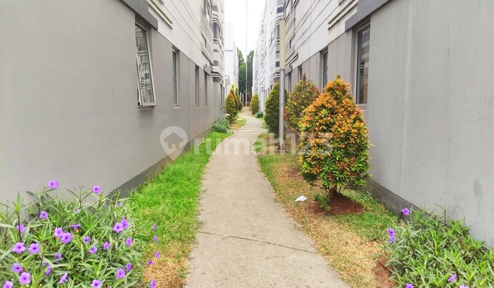 For Rent Super Cheap Anarta House Bsd Near Aeon Mall And Famous Campus For Rent Super Cheap Anarta House Bsd Near Aeon Mall And Famous Campus