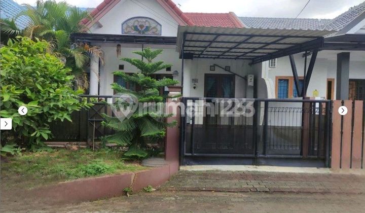 SHM! Rumah Mewah 1.6M Nett, LT 160m² (8x20) Cluster Pinus Taman Royal 1 - Siap Huni SHM! Rumah Mewah 1.6M Nett, LT 160m² (8x20) Cluster Pinus Taman Royal 1 - Siap Huni