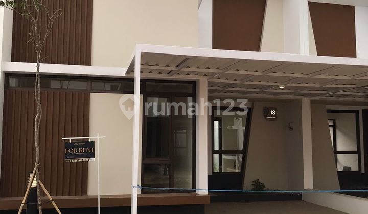 Sewa Rumah Murah 1 Lantai Podomoro Park Klaster Padmagriya