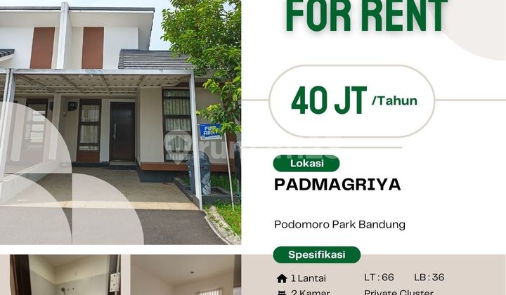 Sewa Rumah Murah 1 Lantai Podomoro Park Klaster Padmagriya