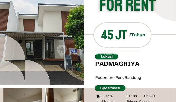 Modern Minimalist Residence for Rent in Padmagriya Cluster – Ideal for Young Families