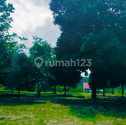 Promo Tanah Murah Pemandangan Wah di Bogor 3