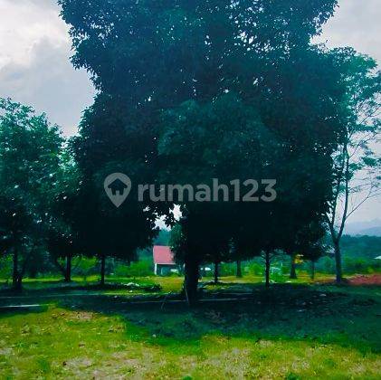 Tanah Harga Terjangkau Lokasi Mudah Dijangkau di Bogor 3