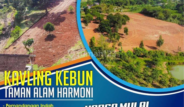 Tanah Harga Terjangkau Lokasi Mudah Dijangkau di Bogor 2