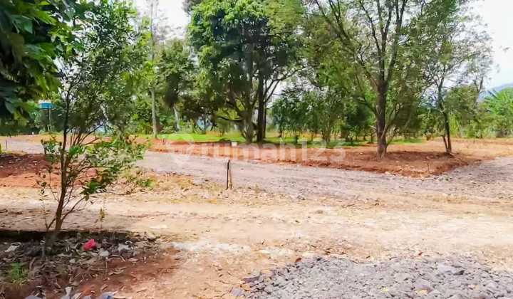 Tanah Harga Terjangkau Lokasi Mudah Dijangkau di Bogor 5