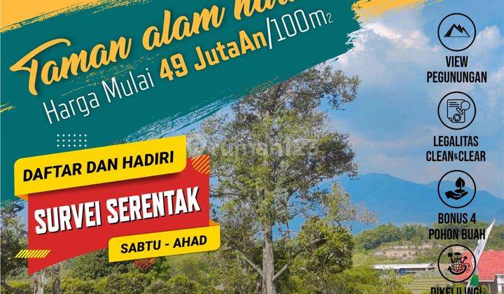 Promo Tanah Kavling Lingkungan Asri Cocok Buat Investasi 1
