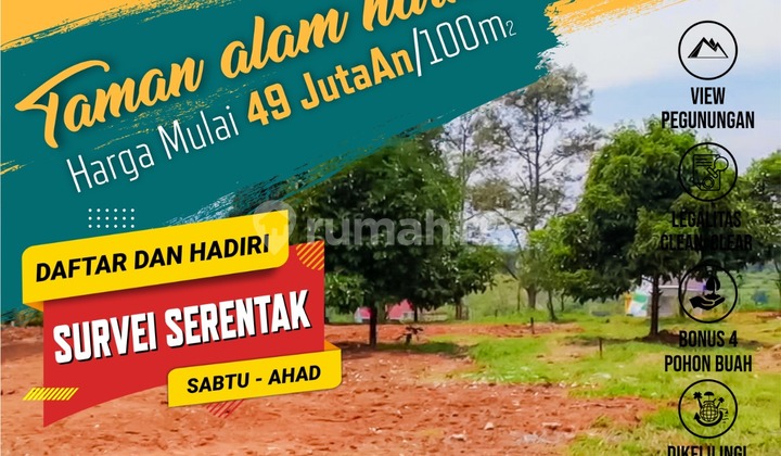 Tanah Kavling Kebun Murah Bonus Pohon Buah 2