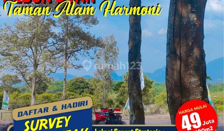 Tanah Kavling Kebun Murah Bonus Pohon Buah 3