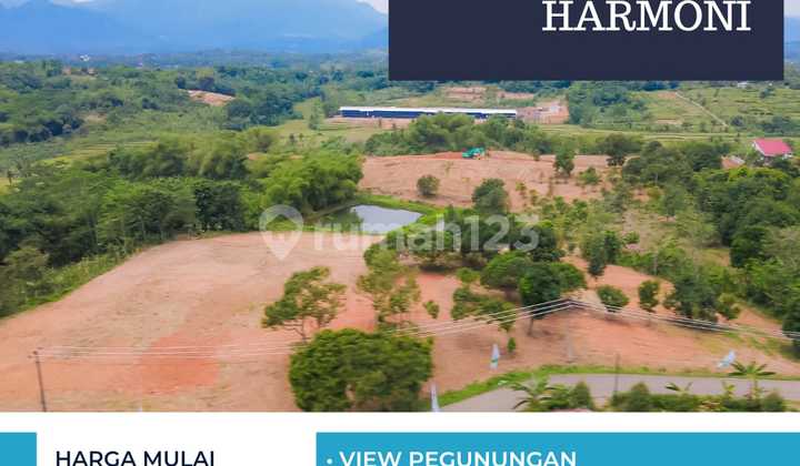 Tanah Kavling Kebun Murah Bonus Pohon Buah 6