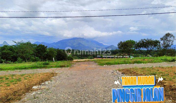 Tanah Dijual Paling Murah Di Tepi Jalan Raya 2