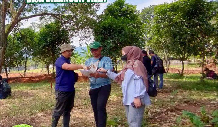 Jual Cepat Tanah Di Tepi Jalan Raya Harga Termurah 5
