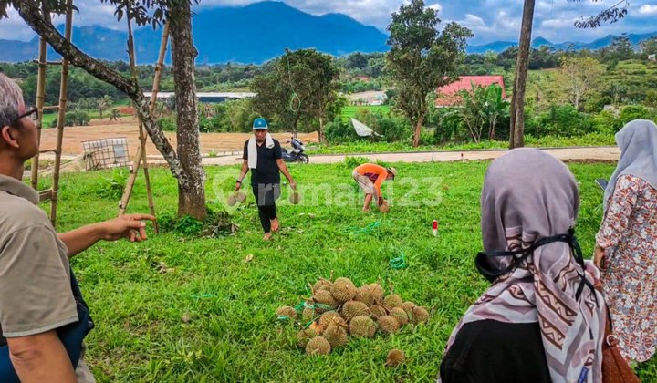 Jual Cepat Tanah Murah Butuh Uang Peluang Emas Untuk Investasi 3