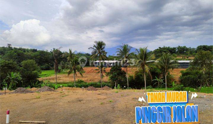 Jual Tanah Di Bogor Harga Murah Fasilitas Wah 8