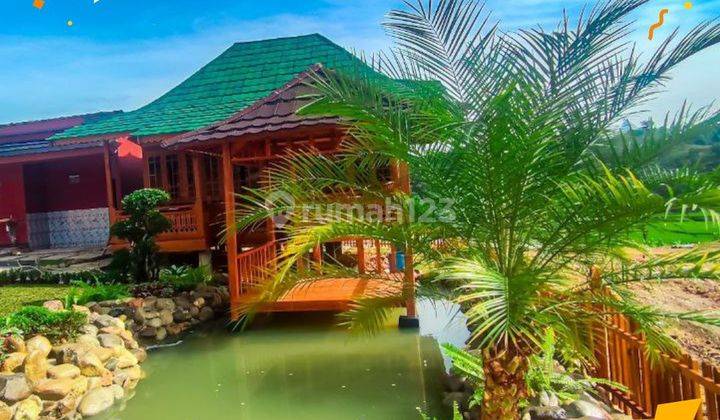 Tanah Murah Bogor Butuh Uang Investasi Berkembang 10