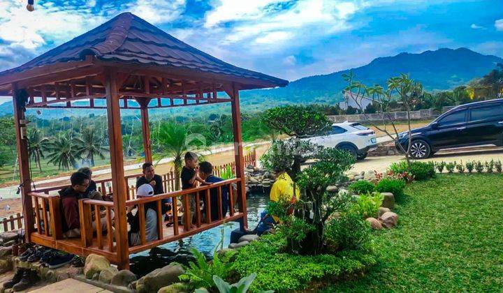 Jual Cepat Tanah Murah Butuh Uang Peluang Emas Untuk Investasi 10