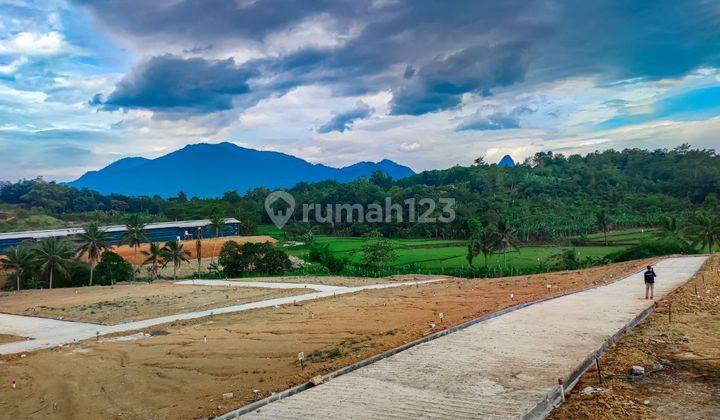 Jual Cepat Tanah Murah Butuh Uang Peluang Emas Untuk Investasi 1