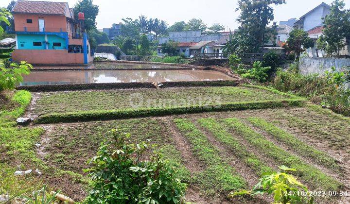 JUAL BUTUH TANAH LOKASI STRATEGIS HARGA EKONOMIS 1