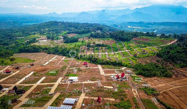 JUAL BUTUH KAVLING KEBUN INVESTASI MASA PENSIUN 1