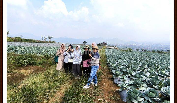 Jual Cepat Tanah Murah Lokasi Strategis Di Puncak 2