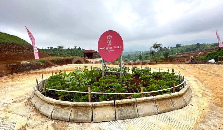 PROMO KAVLING VILLA AREA WISATA PUNCAK ISTIMEWA