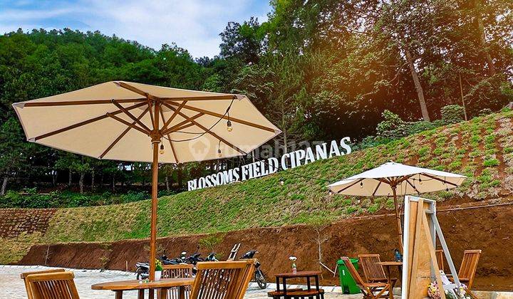 INVESTASI KAVLING VILLA WISATA PUNCAK ISTIMEWA 1