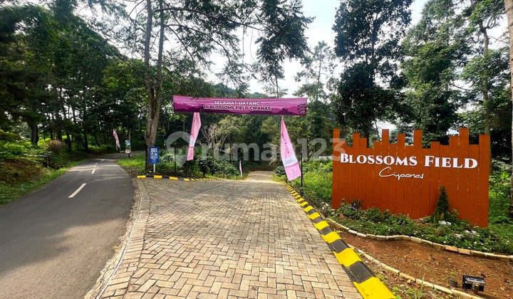KAVLING STRATEGIS DI CIPANAS PUNCAK BONUS LOGAM MULIA 1