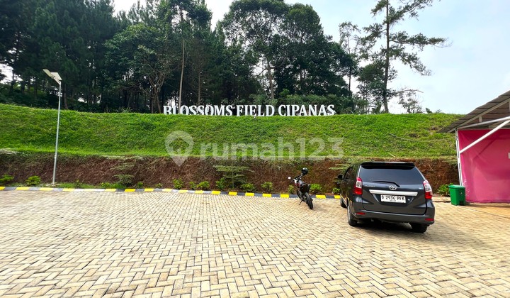 KAVLING VILLA WISATA PUNCAK CIPANAS BERHADIAH EMAS 1