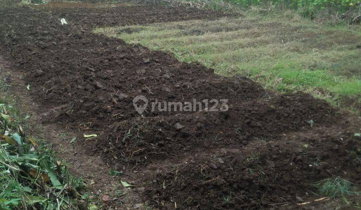 Jual Cepat Tanah Siap Bangun Harga Terjangkau  2