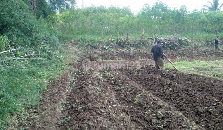 Jual Cepat Tanah Siap Bangun Harga Terjangkau  1