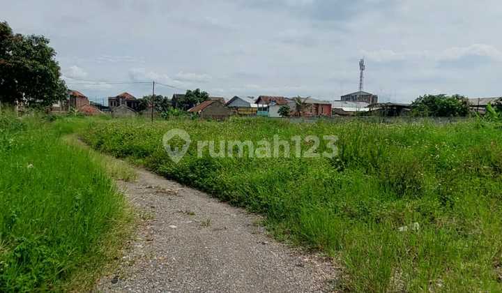 Tanah Hoki Ngantong Cocok utk Gudang di Bojongsoang Bandung Tanah Hoki Ngantong Cocok utk Gudang di Bojongsoang Bandung