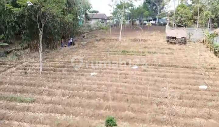 Dense Land Ready for Construction Suitable for Warehouse in Parakanmuncang Dense Land Ready for Construction Suitable for Warehouse in Parakanmuncang