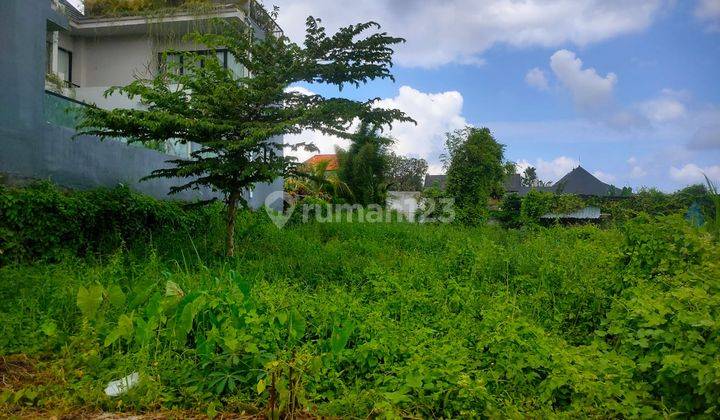 Jual Cepat Tanah Canggu Langka Ukuran Kecil 1