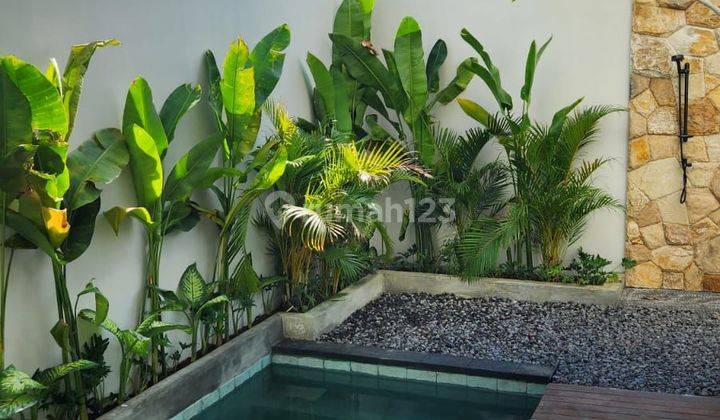 Tropical Modern Villa Green View At Kerobokan Canggu Furnished 1