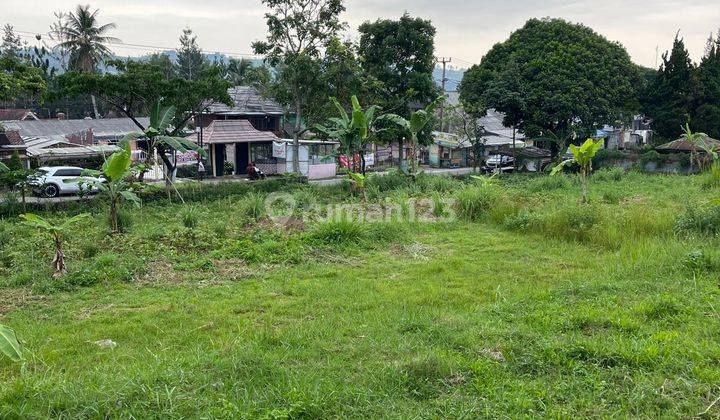 Tanah Cocok Untuk Vila, Resort, Usaha Di Cipanas Luas 3257 M² Shm 1