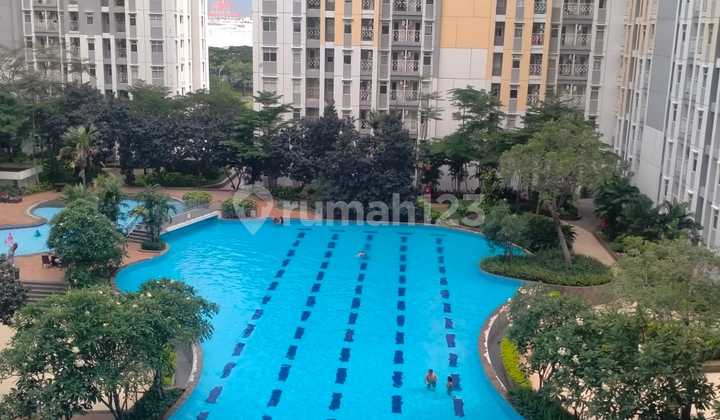 Basella Furnished Apartment Springlake Summarecon View Pool