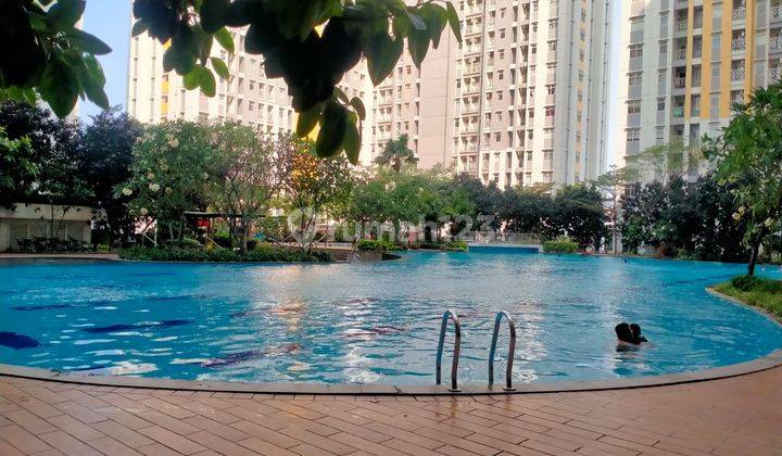 Apartemen 2 Kamar Tidur Furnished Springlake Summarecon Bekasi Apartemen 2 Kamar Tidur Furnished Springlake Summarecon Bekasi