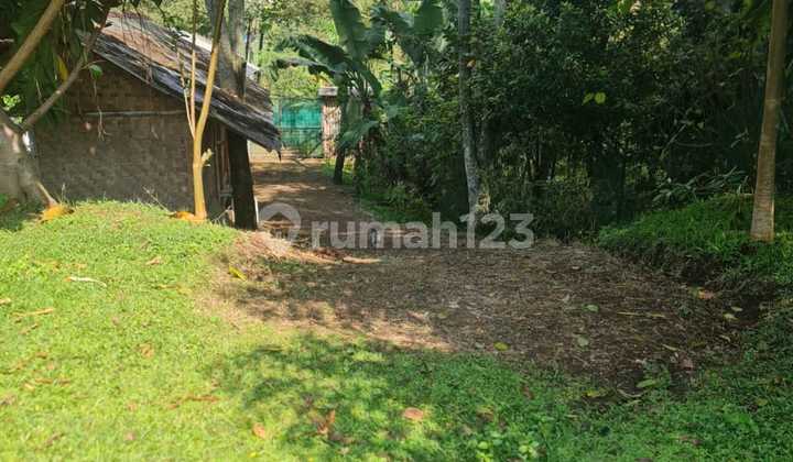 Dijual Cepat B.u Harga Dari 6.6 Sekarang Jadi 3.8 M Dijual Cepat B.u Harga Dari 6.6 Sekarang Jadi 3.8 M