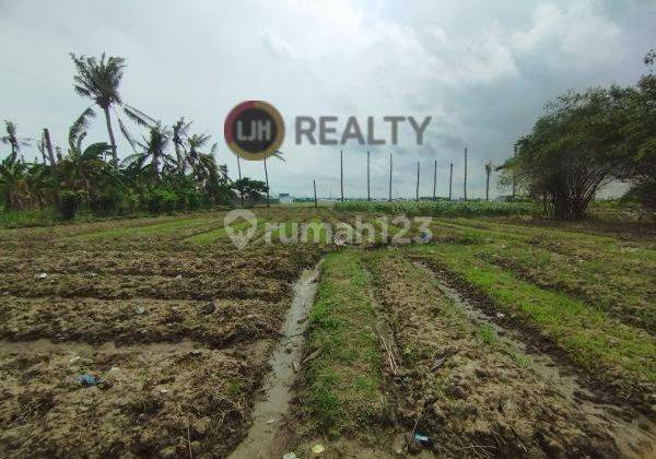 Dijual Tanah Luas di Sukamekar Sukawangi Bekasi  1