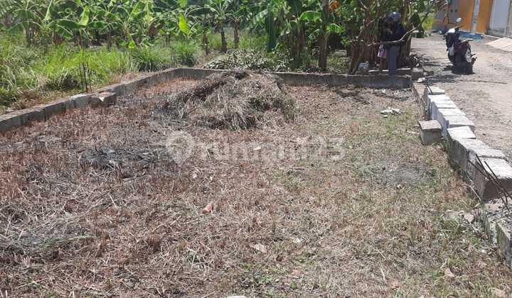 Tanah Shm Siap Bangun Sukodono Tanah Shm Siap Bangun Sukodono